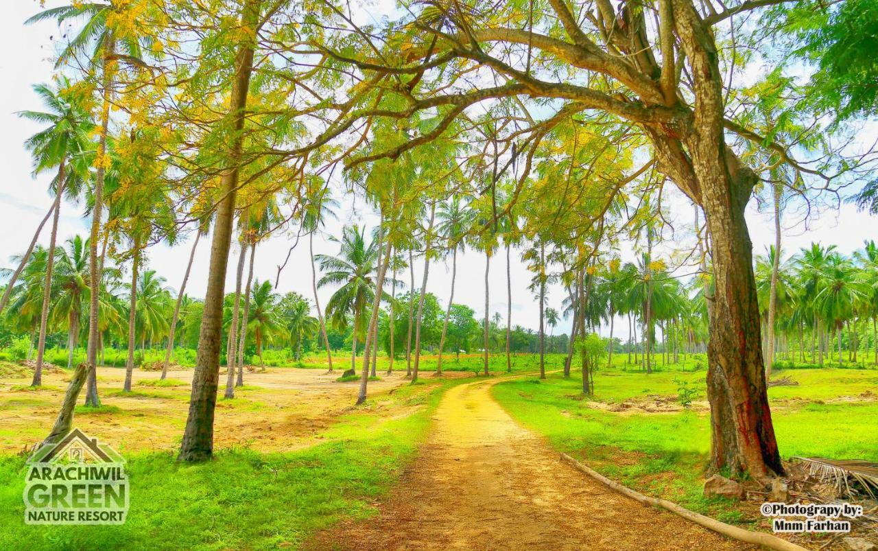 Arachiwil Green Nature Resort Puttalam Bagian luar foto