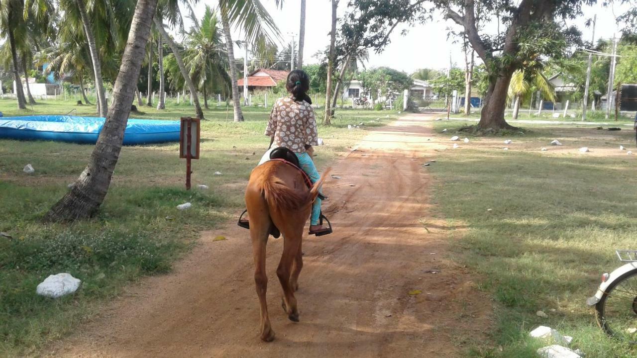 Arachiwil Green Nature Resort Puttalam Bagian luar foto